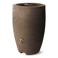 50 Gallon Plastic Rain Barrel with Brass Spigot H215339