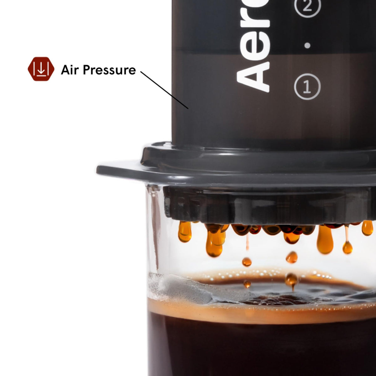 Coffee Press P339160