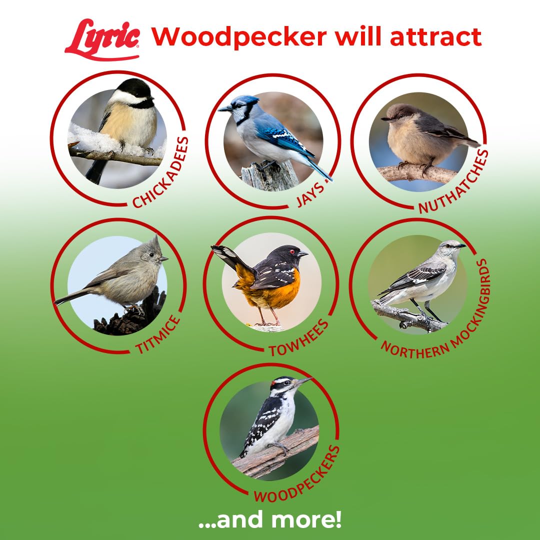Woodpecker Wild Bird Seed with Nuts & Dried Fruit 20 lb Bag E96775