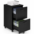 2 Drawer Black Wood File Cabinet V376