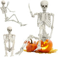 Life Size Full Body Skeleton Prop M38376