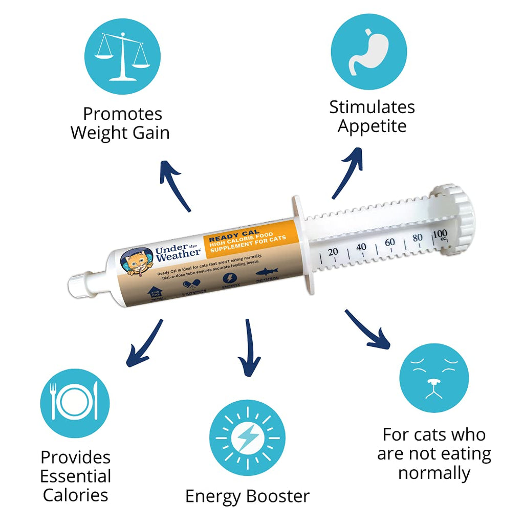 High Calorie Cat Supplement with Vitamins Minerals Omega Fatty Acids N8189