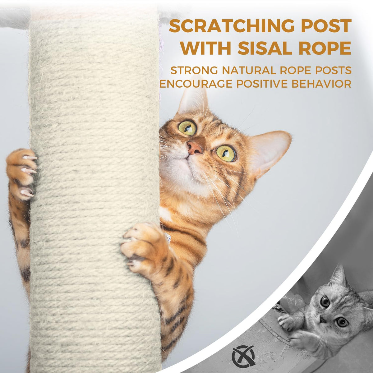 68 Inches Tall Multi-Level Cat Tree with Hammock and Light Gray F8458
