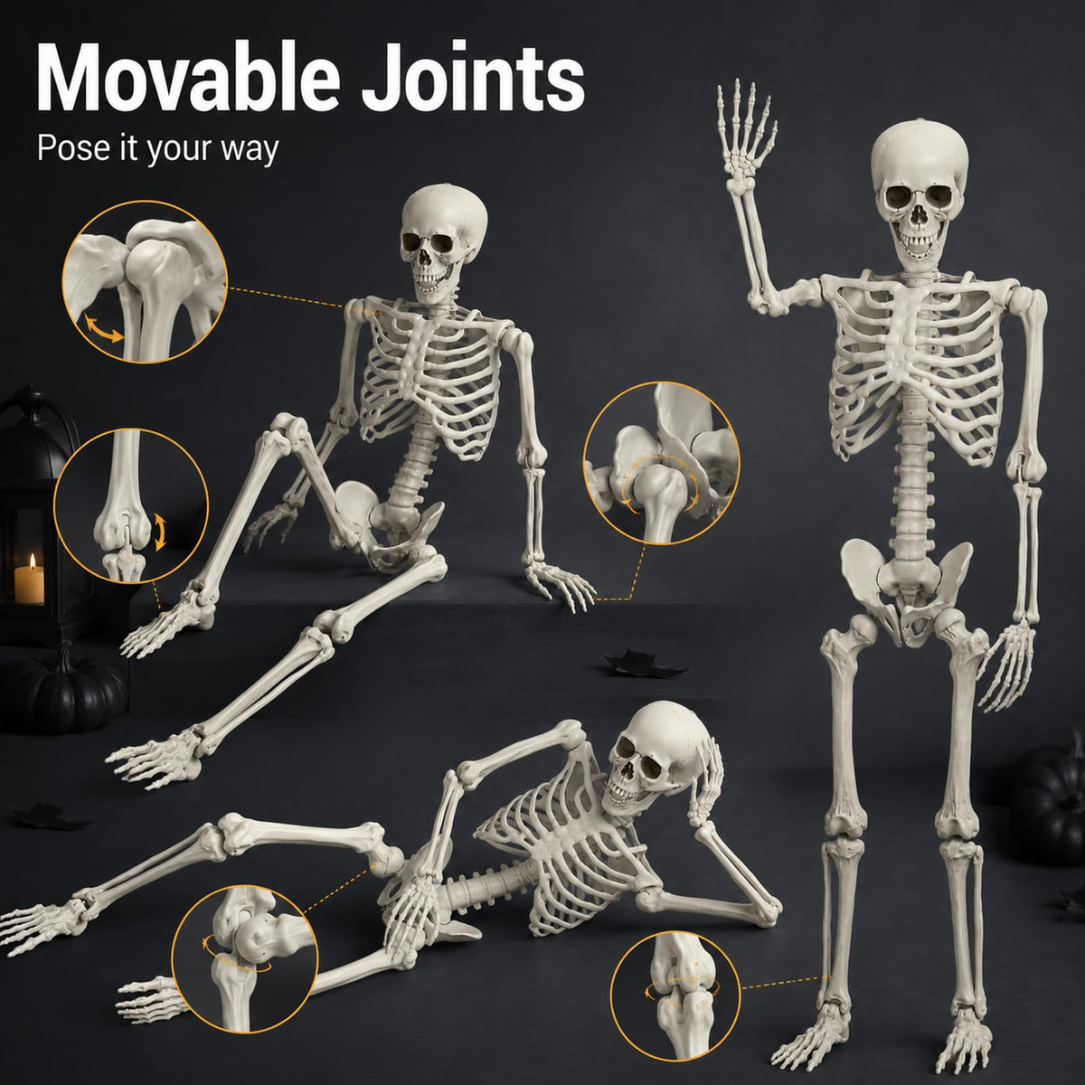 Life Size Full Body Skeleton Prop M38376