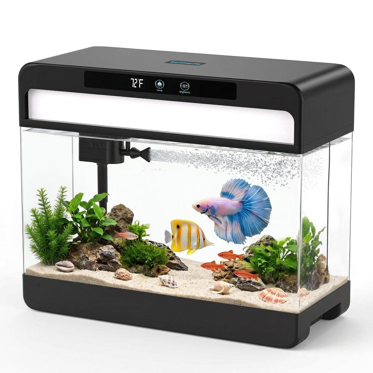 3 Gallon Black Aquarium Starter Kit H327345