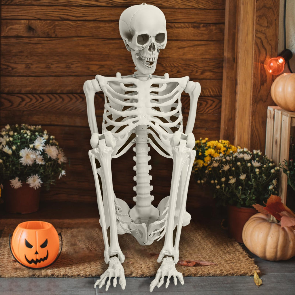 Life Size Full Body Skeleton Prop M38376