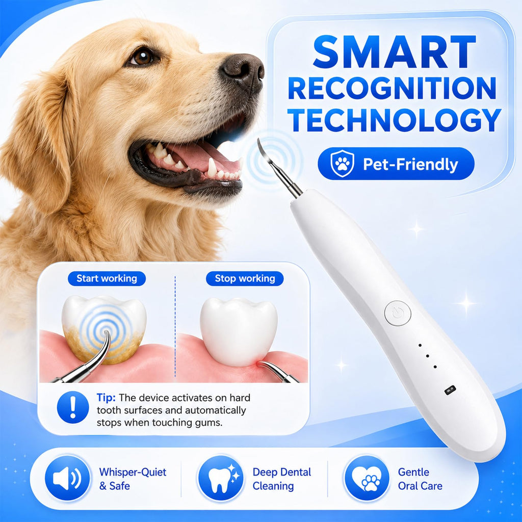 Dog Tartar Ultrasonic Teeth Cleaning Kit K733