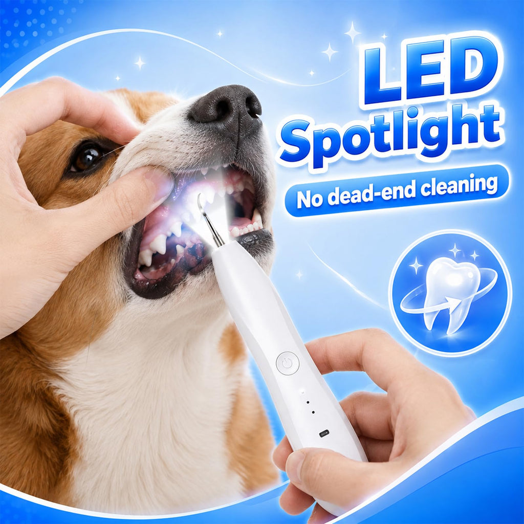 Dog Tartar Ultrasonic Teeth Cleaning Kit K733