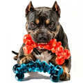 Dog Chew Toy D592