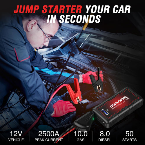 2500A Peak 74Wh Portable Car Jump Starter J976398