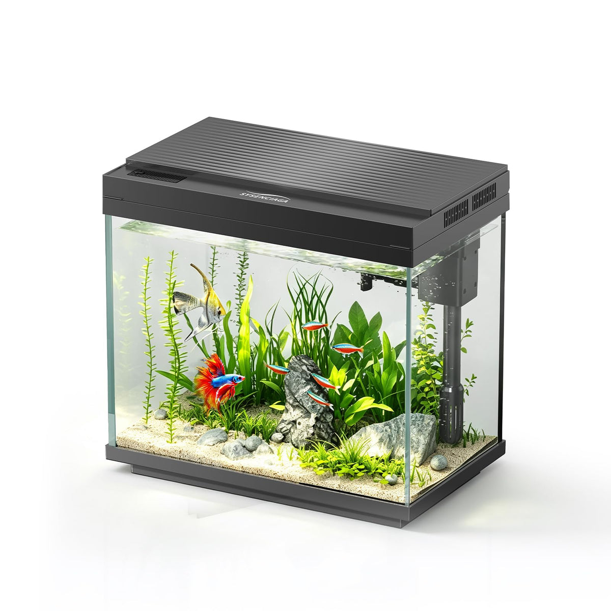 3 Gal Glass Fish Tank Kit with Filter & Light Z491