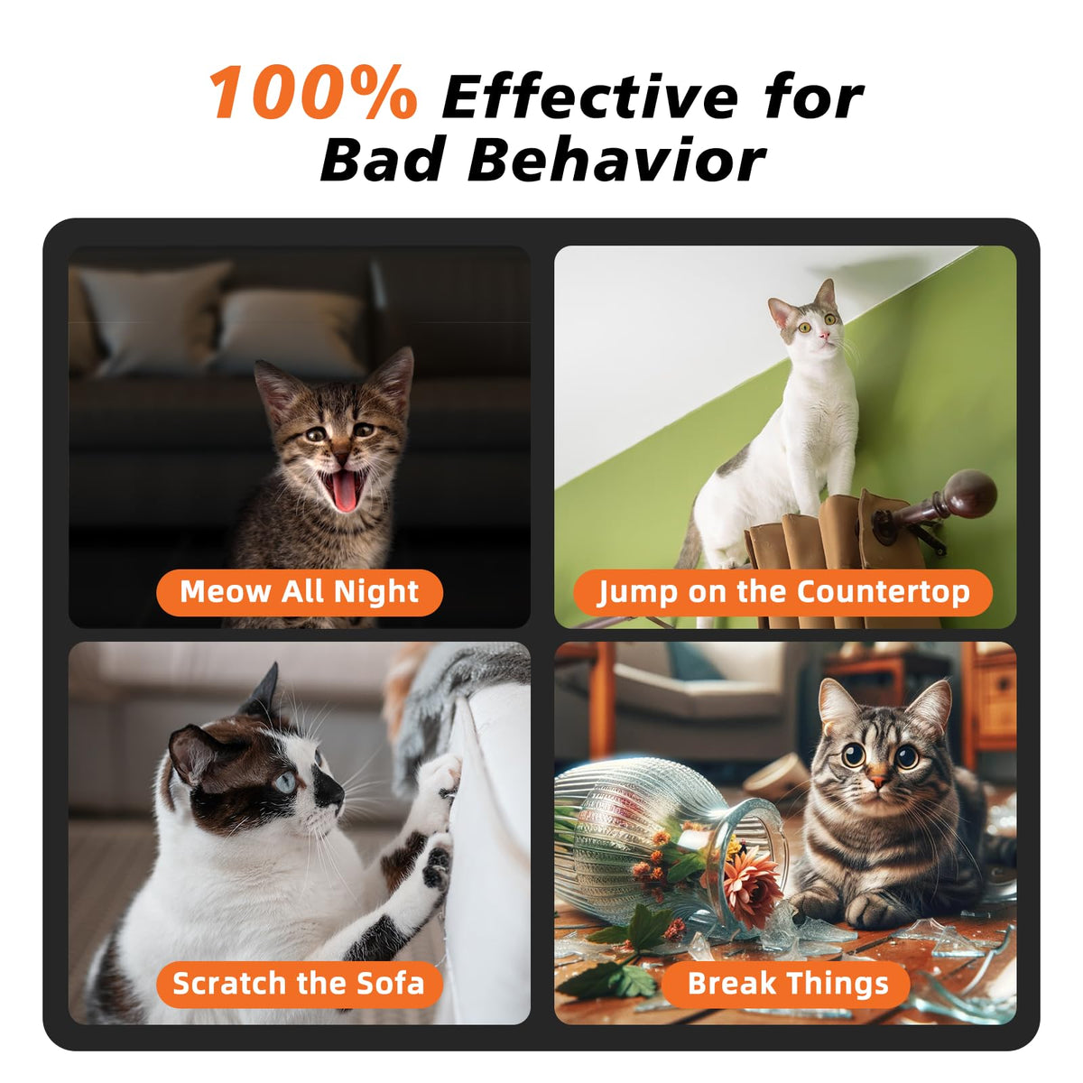 Black Waterproof Rechargeable Cat Training Collar with Remote G7379