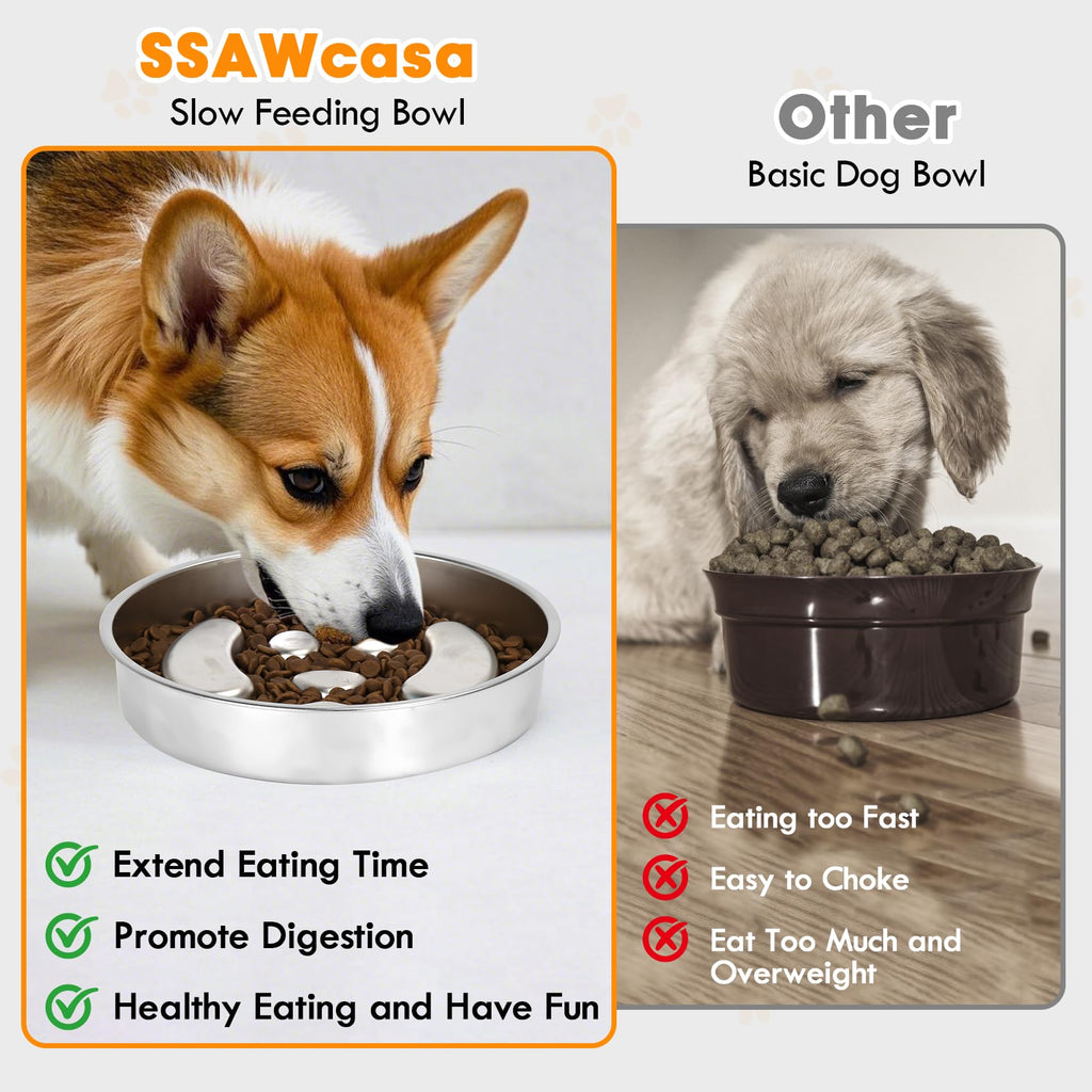 Stainless Steel 2 Pack Slow Feed Dog Bowl H64456