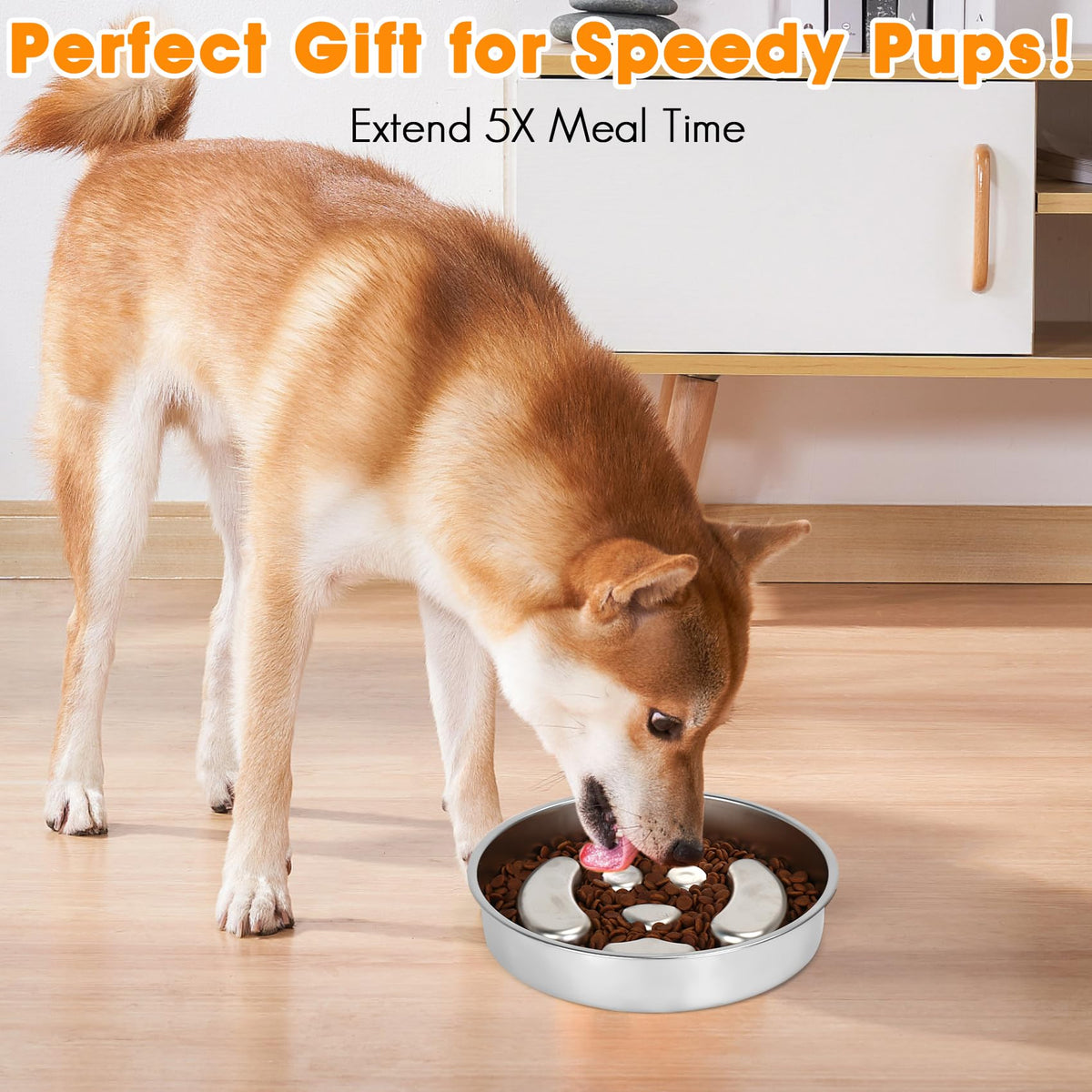 Stainless Steel 2 Pack Slow Feed Dog Bowl H64456