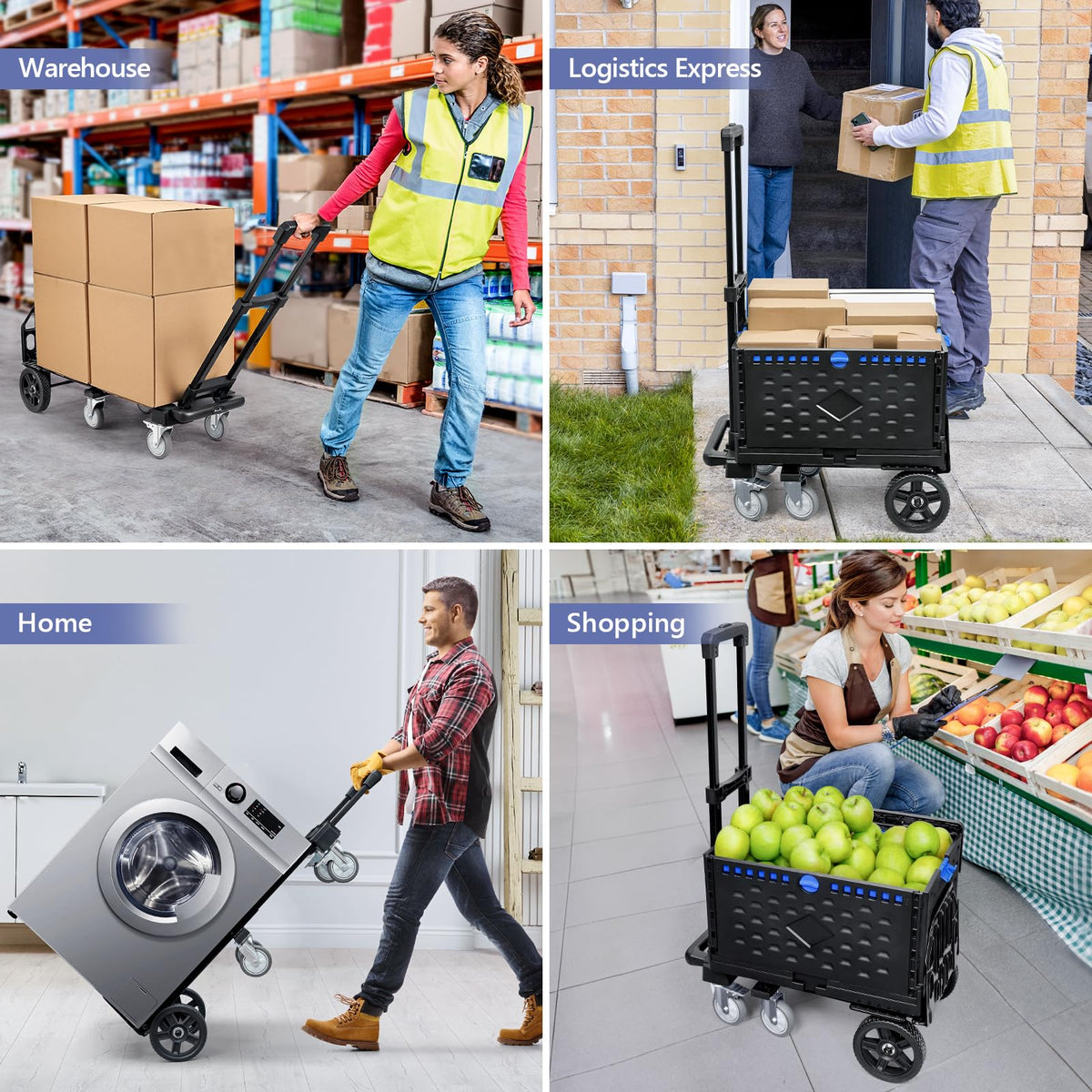 4-in-1 Convertible Dolly Cart with Crate F19501