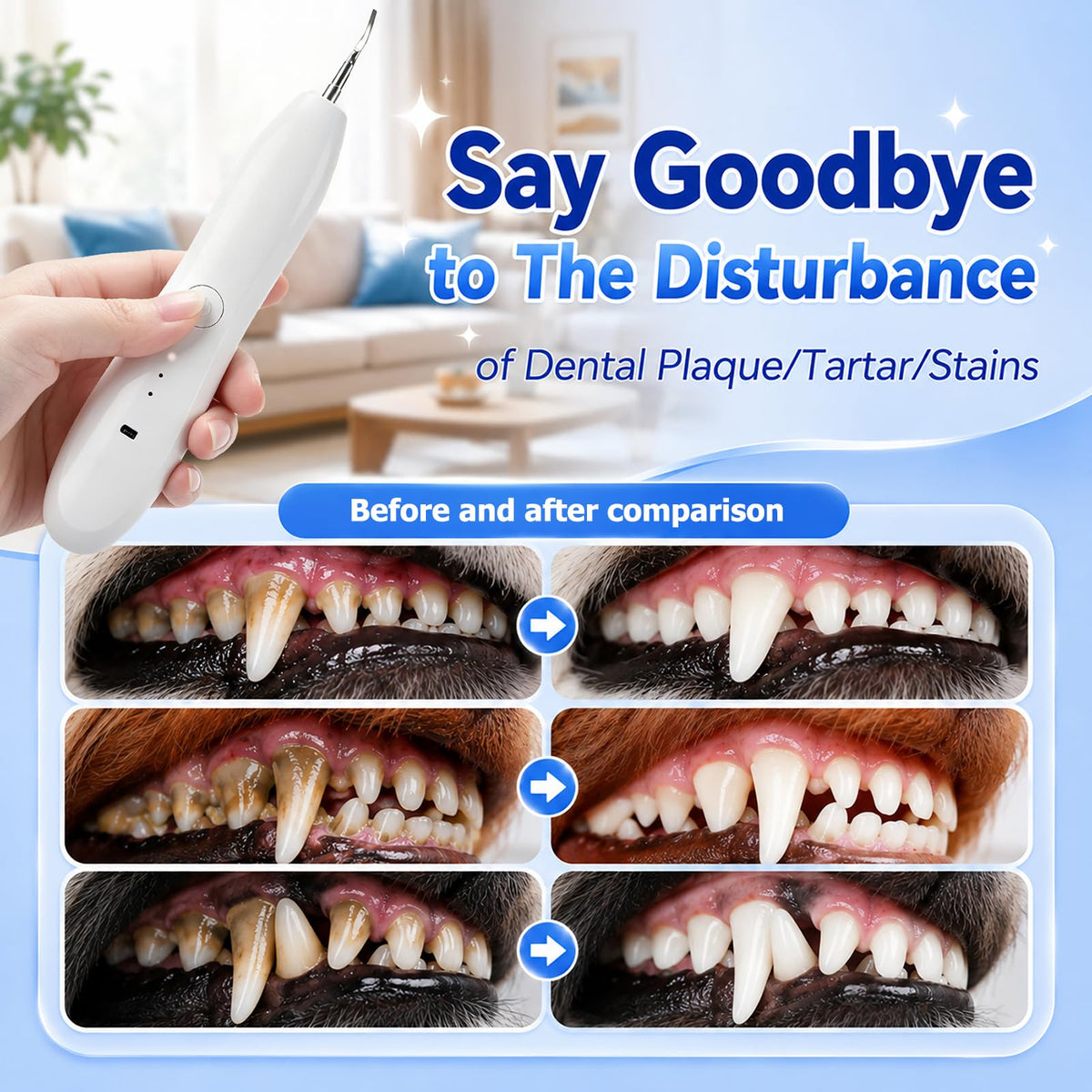 Dog Tartar Ultrasonic Teeth Cleaning Kit K733