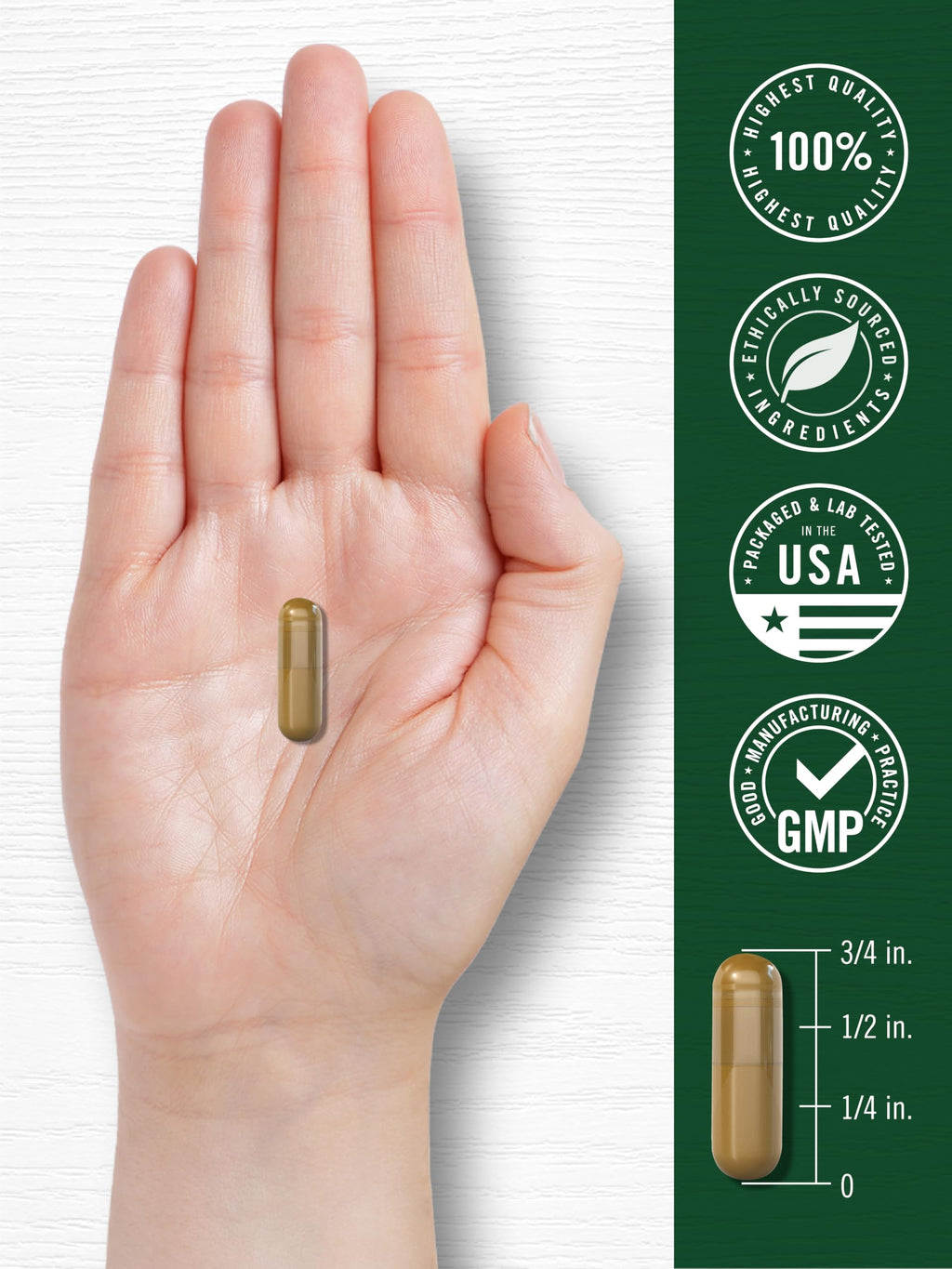 Cinnamon Complex with Gymnema and Mulberry 150 Capsules H45034