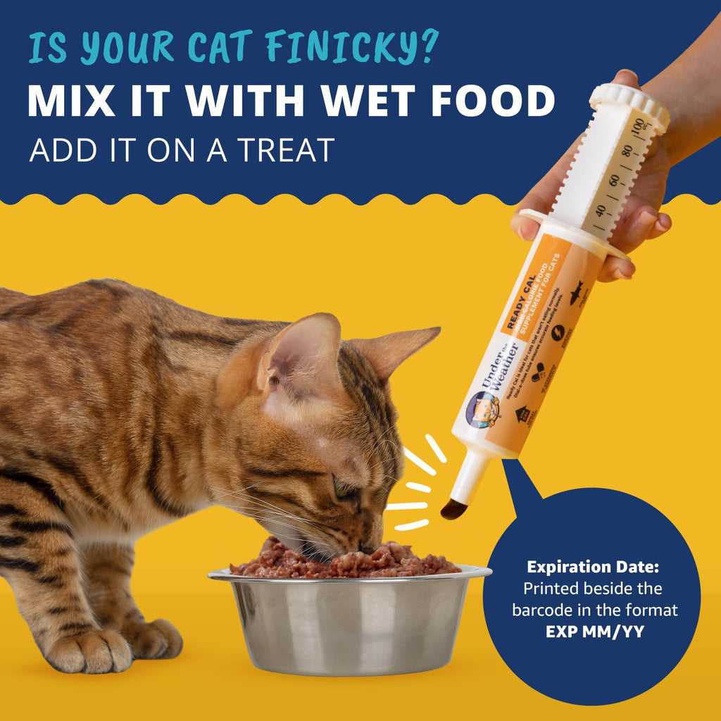 High Calorie Cat Supplement with Vitamins Minerals Omega Fatty Acids N8189
