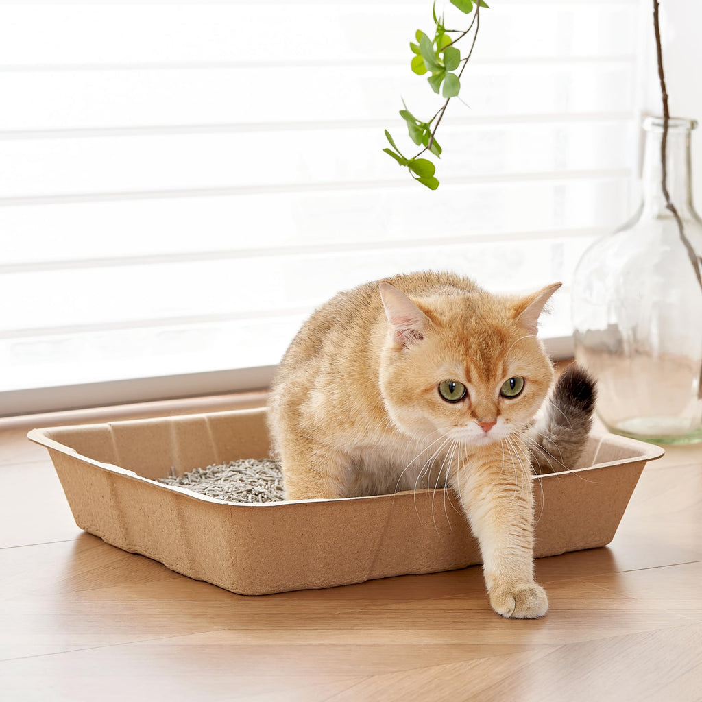 Disposable Cardboard Cat Litter Boxes 5 Pack D961732