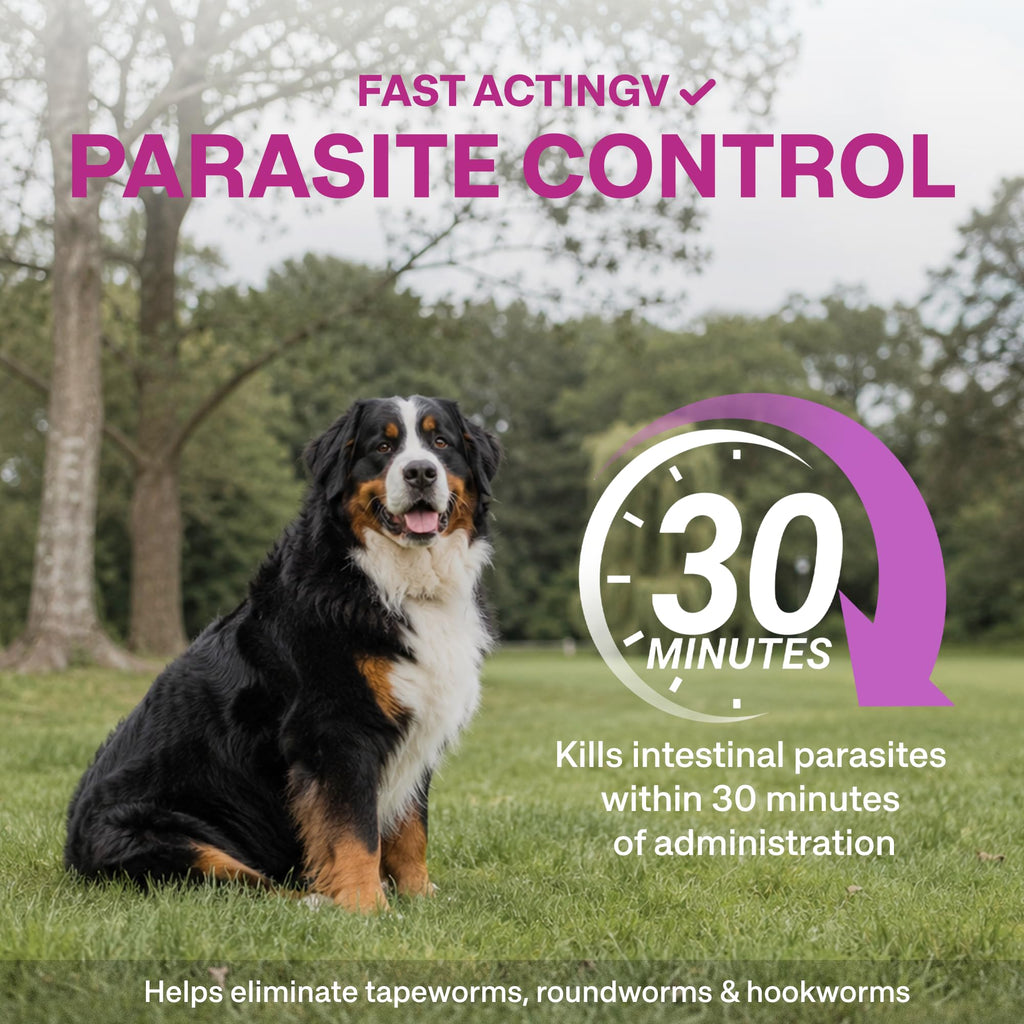 Dog Dewormer Liquid Formula with Praziquantel & Pyrantel Pamoate, 3.38 fl oz B89502