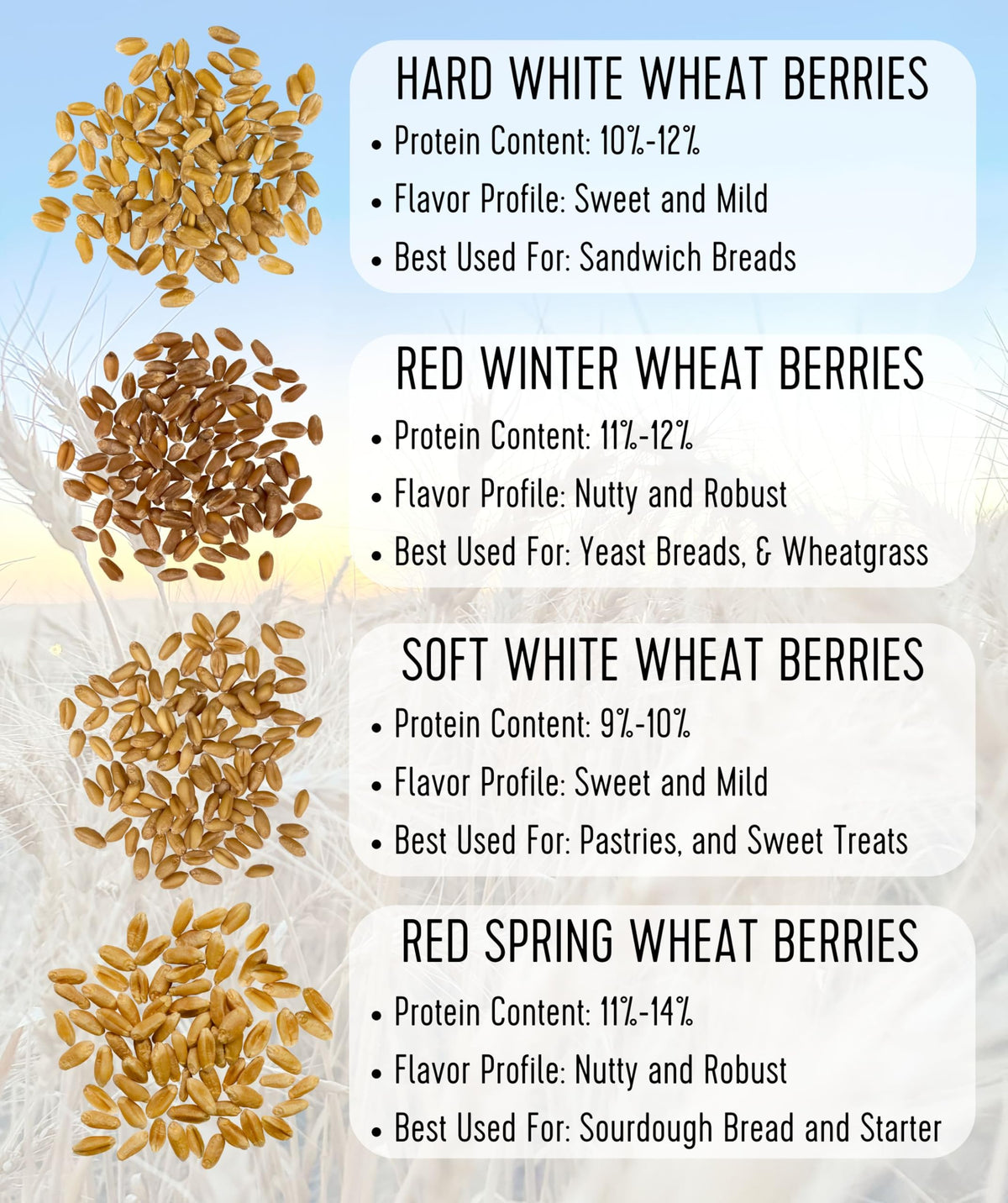 Hard Red Spring Wheat Berries 25 LBS Bag W995
