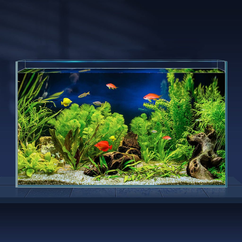 10 Gallon Ultra Clear Rimless Low Iron Glass Fish Tank A362