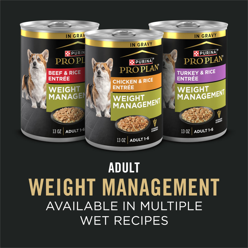 Adult Weight Management Dry Dog Food Chicken 6 lb U355342