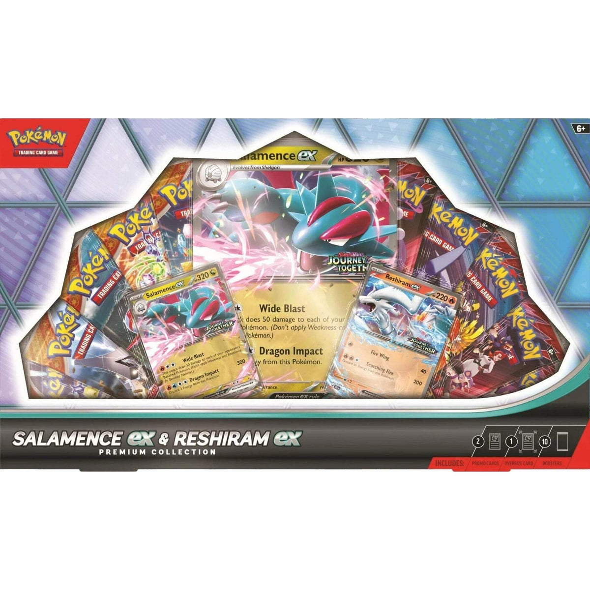 Pokemon TCG Premium Collection Box H163