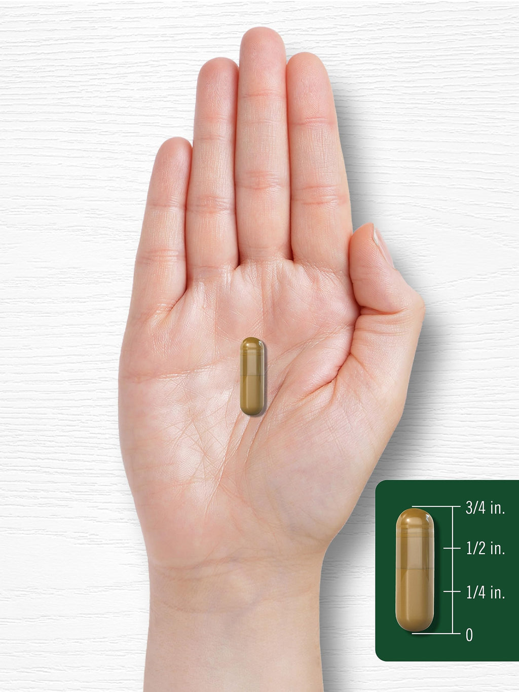 Cinnamon Complex with Gymnema and Mulberry 150 Capsules H45034