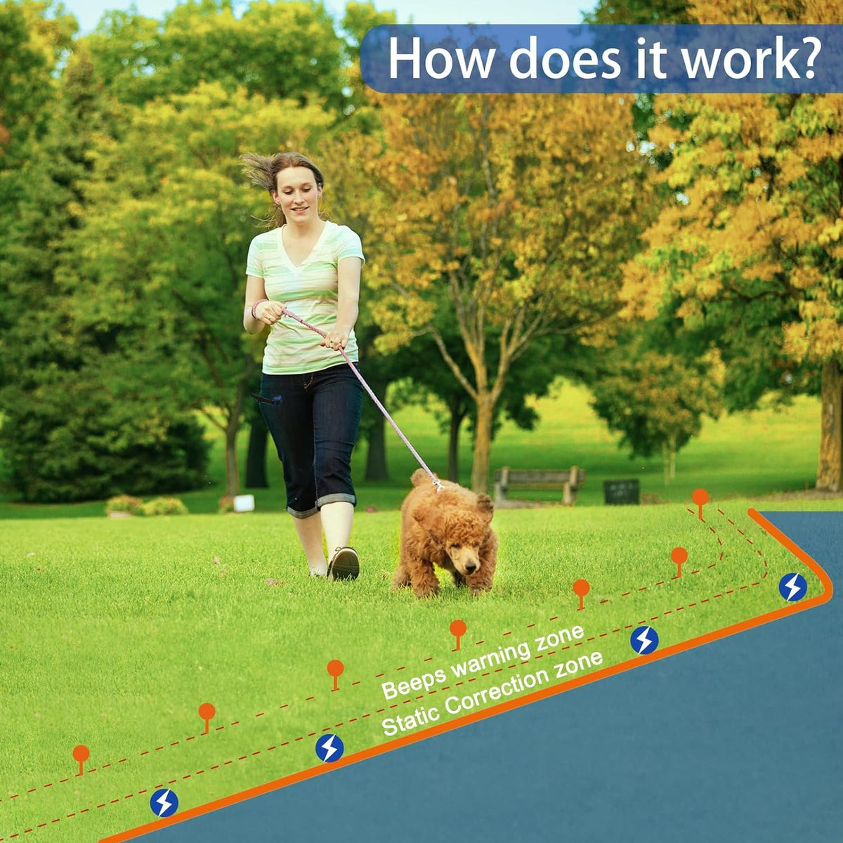 In-Ground Electric Dog Fence System with 2 Collars Q681036