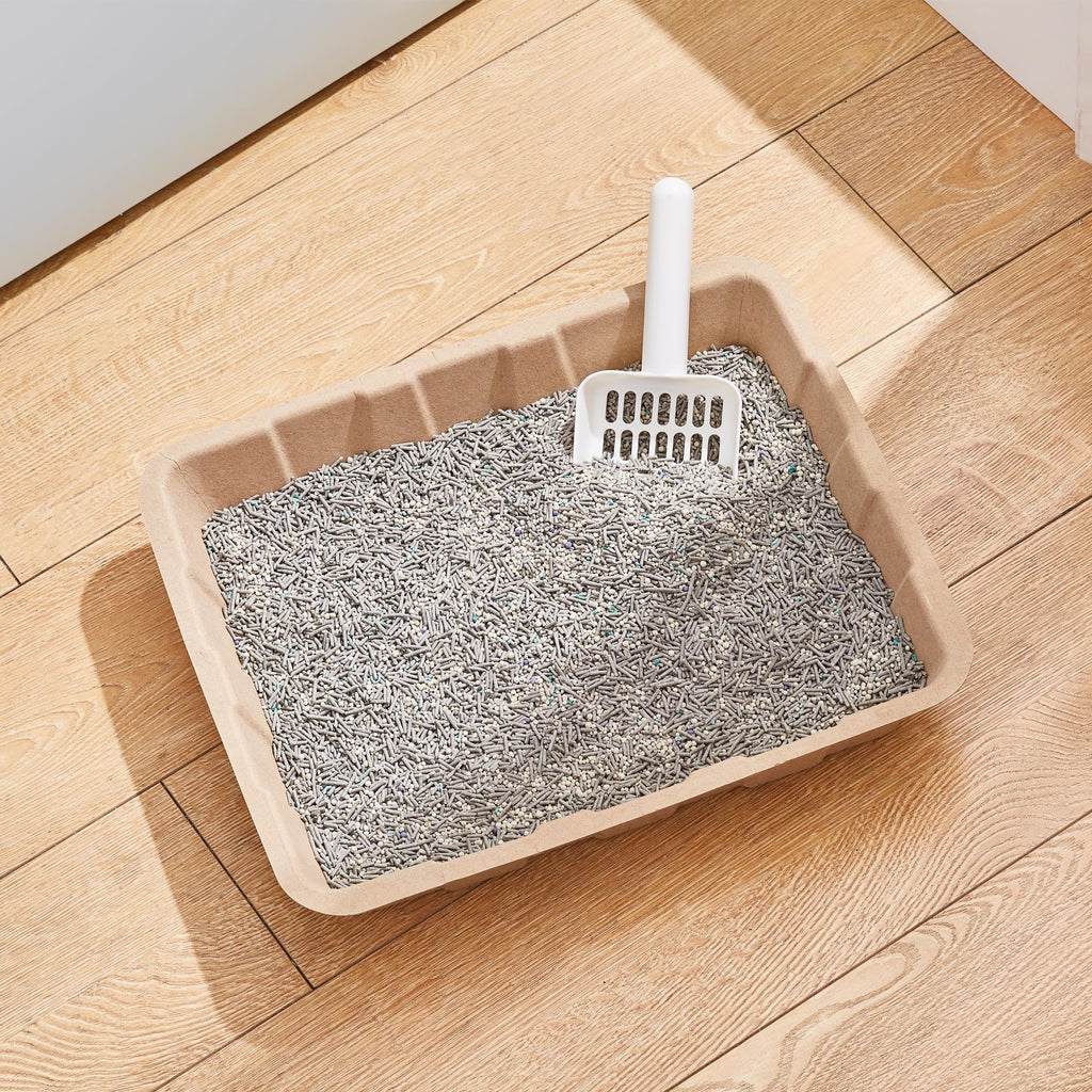 Disposable Cardboard Cat Litter Boxes 5 Pack D961732
