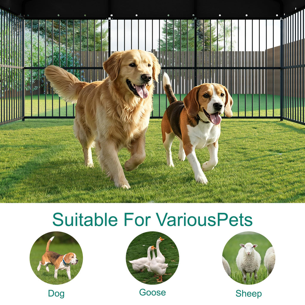 10x20x6.5 FT Outdoor Dog Kennel with Roof N25960